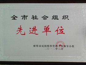 蚌埠市信息技术协会获全市社会组织先进单位称号